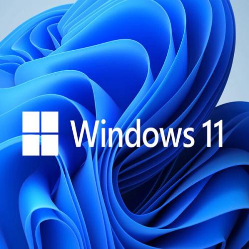 windows 11